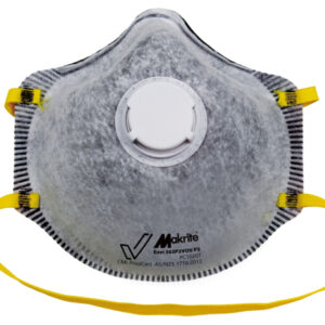 P2 Disposable Particulate Respirator