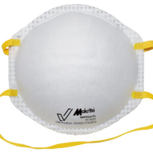 P2 Disposable Particulate Respirator